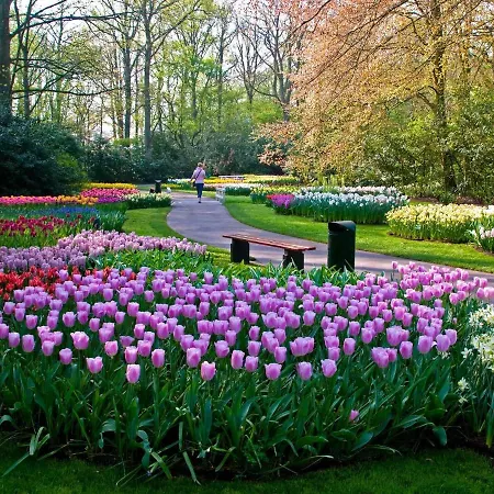 Beautiful In The Heart Of The Centre Amsterdam